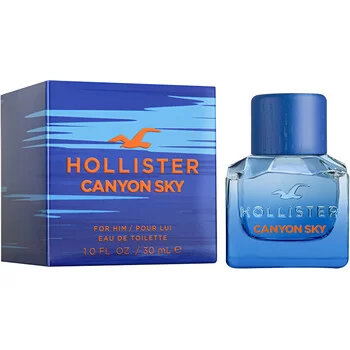 Hollister Canyon Sky for Men